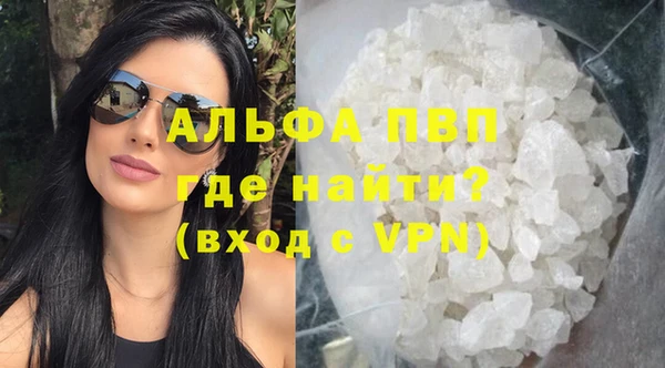 гидра Аркадак