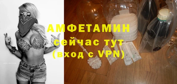 гидра Аркадак