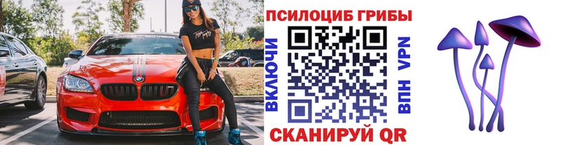 где купить наркотик  Новая Усмань  Галлюциногенные грибы Psilocybe 